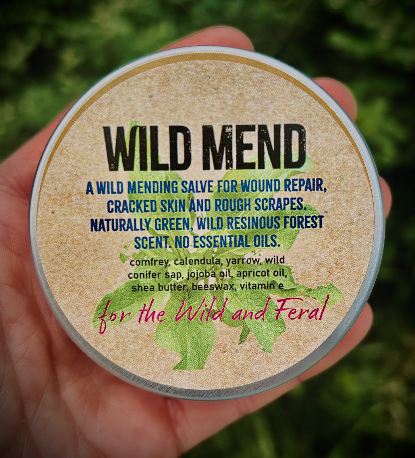 Wild Mend ~ Healing Salve