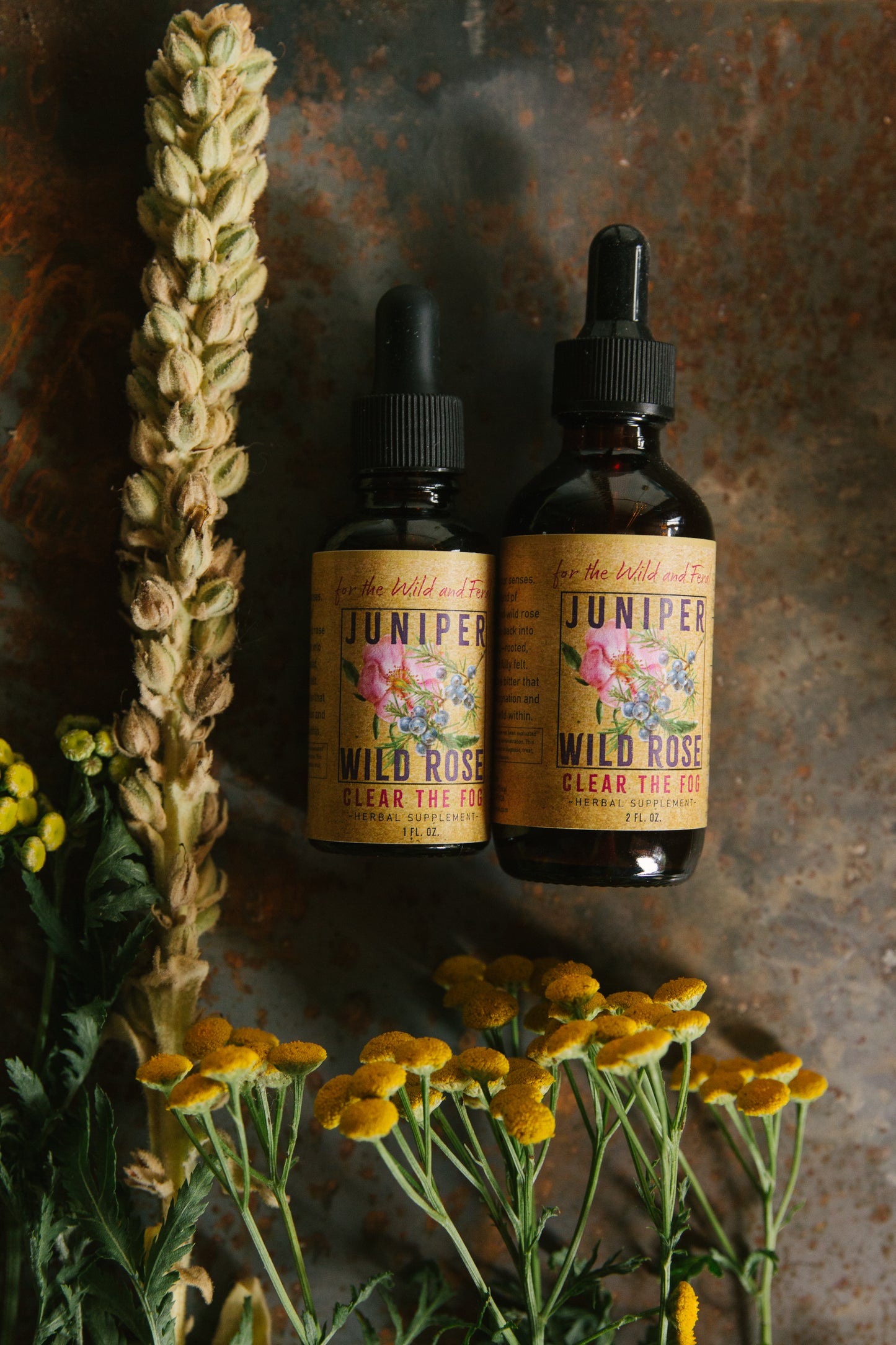 Juniper + Wild Rose ~ Clear the Fog