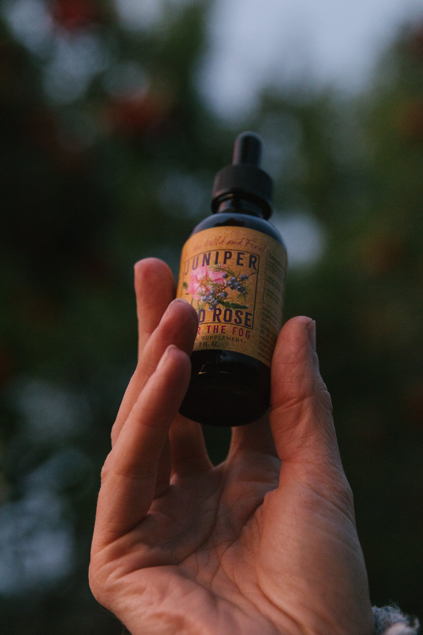 Juniper + Wild Rose ~ Clear the Fog