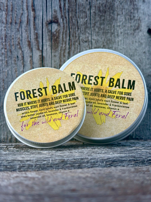 Forest Balm ~ Pain Salve