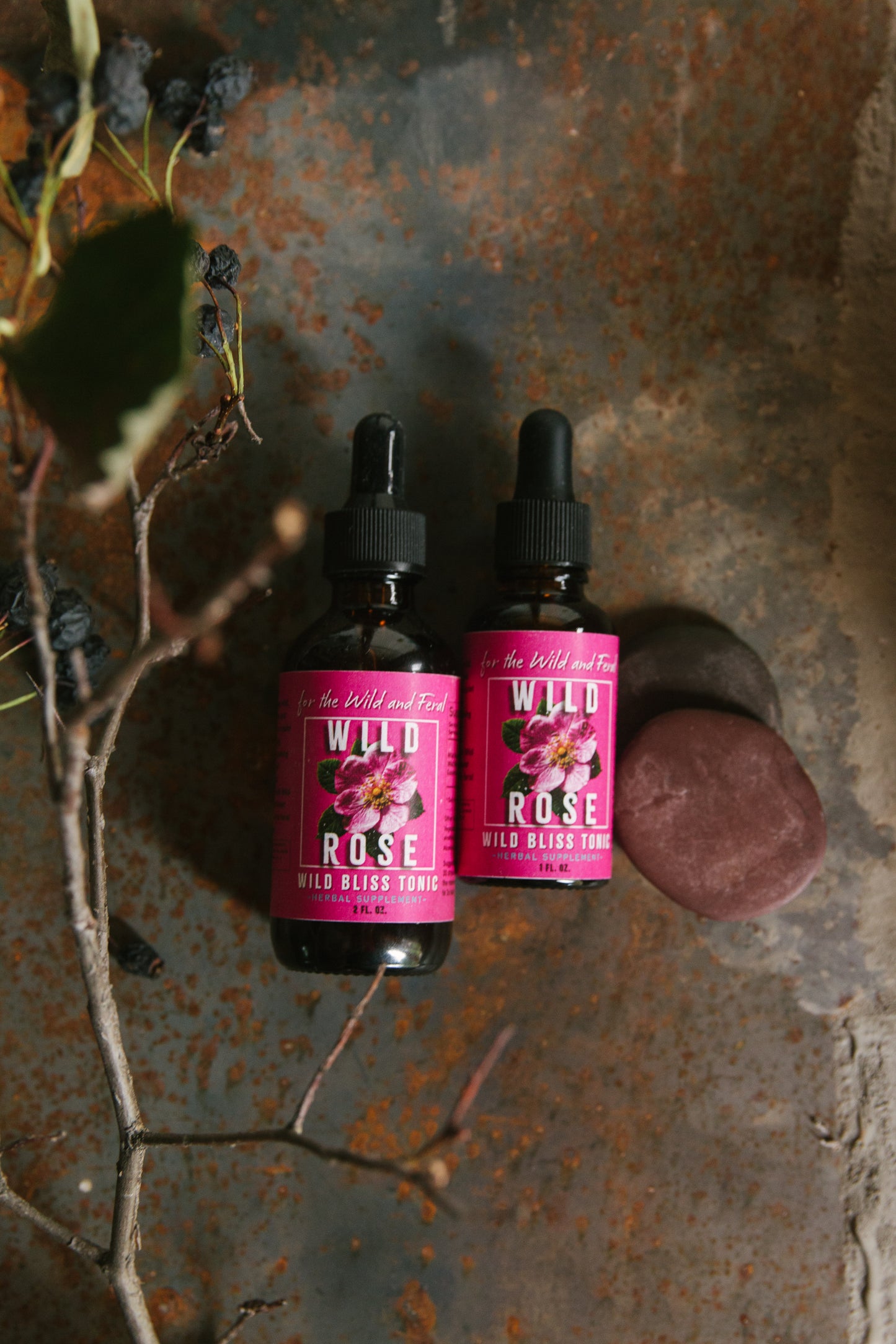 Wild Rose - Wild Bliss Tonic